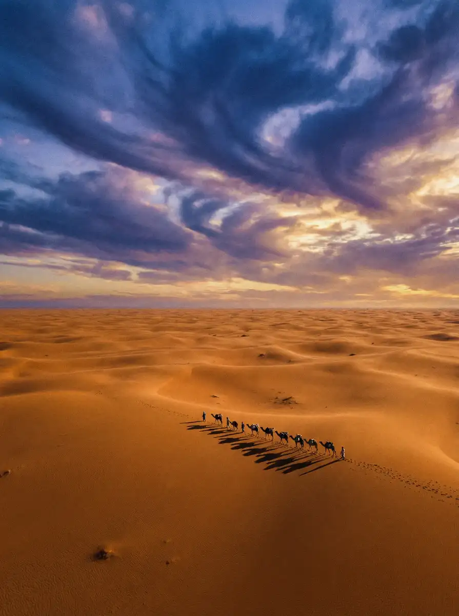 纪录片《丝路回响》 - 九一短视频 项目